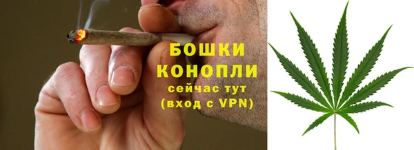 гидра Пролетарск