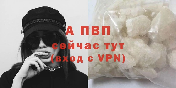 гидра Пролетарск