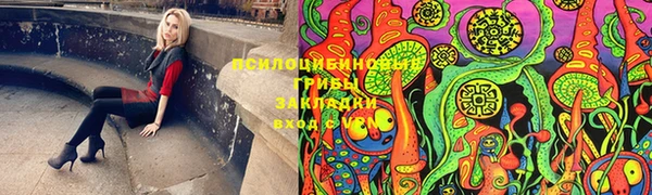 гидра Пролетарск