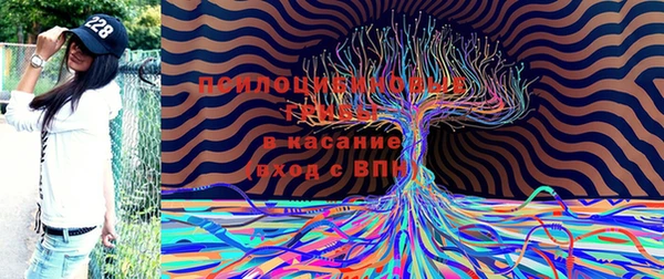 марки lsd Приозерск
