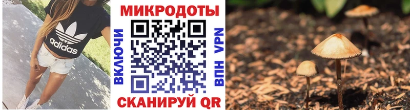 Псилоцибиновые грибы мицелий  Сольвычегодск 